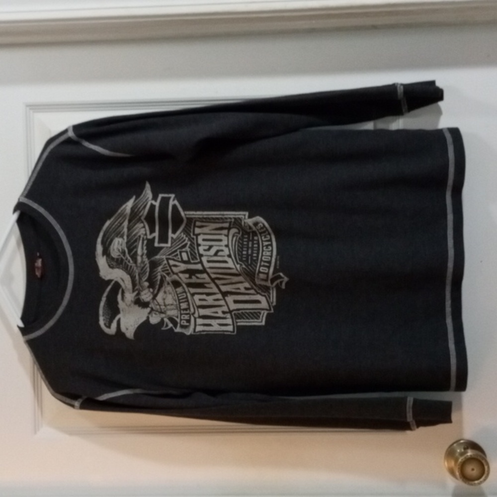 Harley-Davidson Gray Long Sleeve Eagle Tee Men’s Large - Picture 2 of 6
